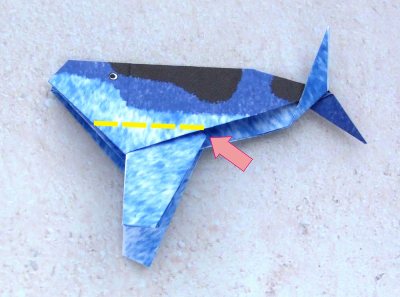 Origami Walvis vouwen