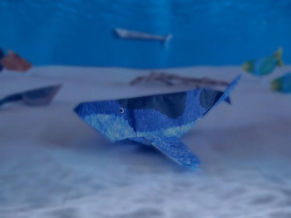 Origami Walvis Origami Walvis