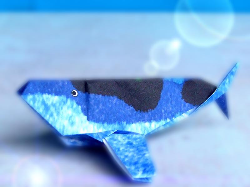 Origami Walvis Origami Walvis