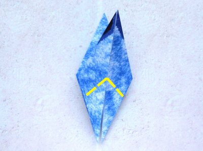Origami Walvis vouwen Origami Walvis vouwen
