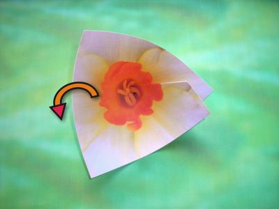 diagrams for a white origami flower diagrams for a white origami flower