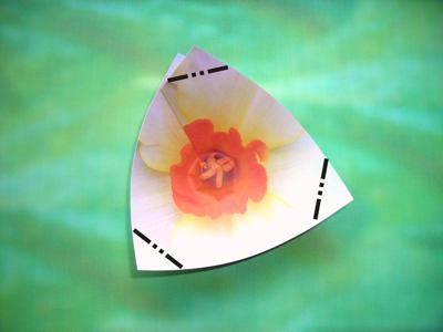 diagrams for a white origami flower diagrams for a white origami flower