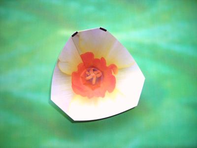 diagrams for a white origami flower diagrams for a white origami flower