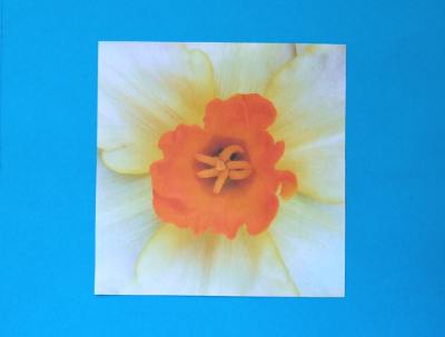 uitleg om een leuke witte bloem van papier te maken
