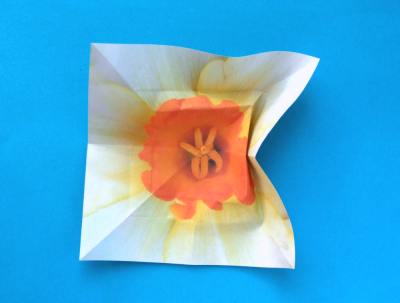 uitleg om een leuke witte bloem van papier te maken uitleg om een leuke witte bloem van papier te maken