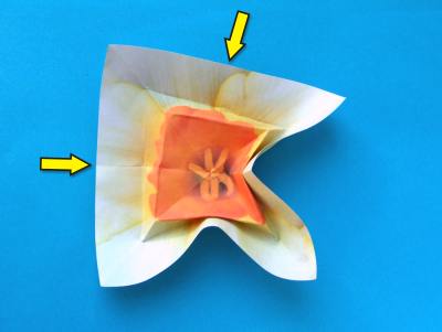 uitleg om een leuke witte bloem van papier te maken uitleg om een leuke witte bloem van papier te maken