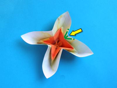 uitleg om een leuke witte bloem van papier te maken uitleg om een leuke witte bloem van papier te maken