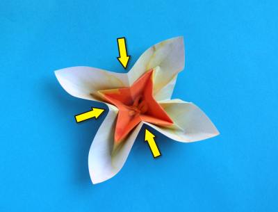 uitleg om een leuke witte bloem van papier te maken uitleg om een leuke witte bloem van papier te maken