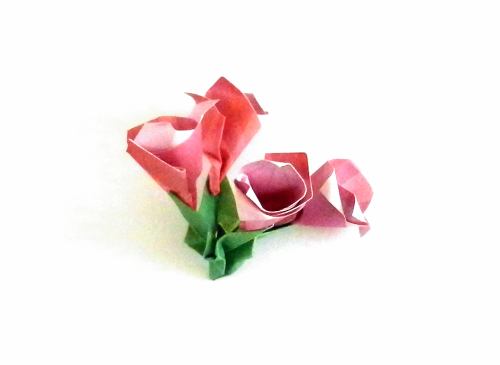 Make an Origami Wildflower