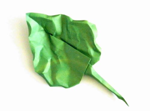 Make an Origami Wildflower