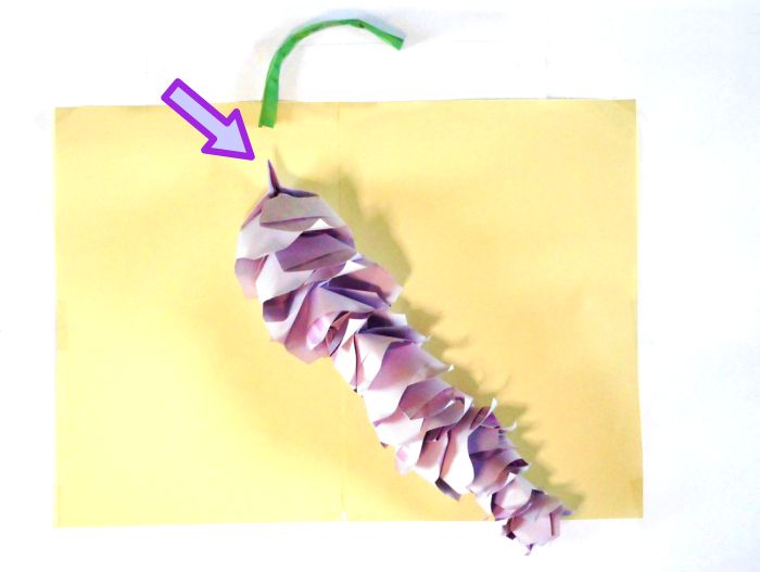 Make paper Wisteria flowers