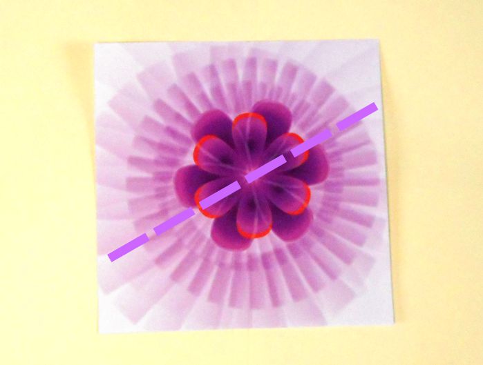 Make paper Wisteria flowers