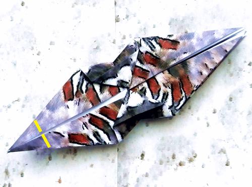 Fold an Origami Woodpecker Fold an Origami Woodpecker