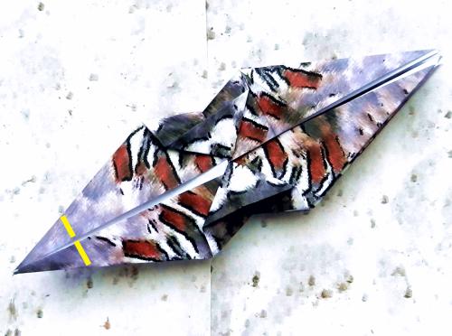 Fold an Origami Woodpecker