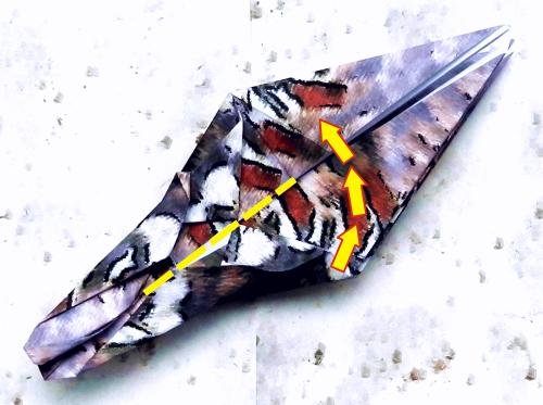 Fold an Origami Woodpecker Fold an Origami Woodpecker