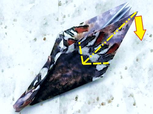 Fold an Origami Woodpecker Fold an Origami Woodpecker