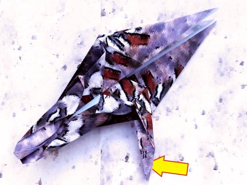 Fold an Origami Woodpecker