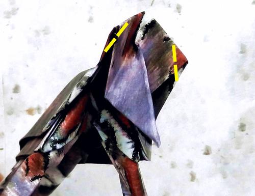 Fold an Origami Woodpecker