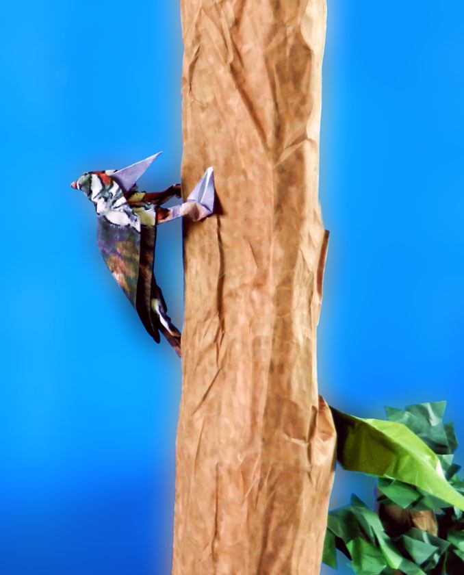 Origami Woodpecker Origami Woodpecker