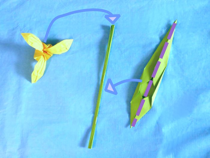 Fold an Origami Iris Flower Fold an Origami Iris Flower