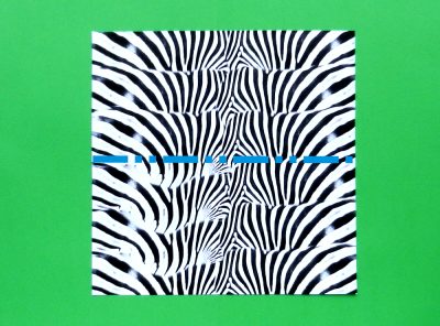 origami paper special for folding a zebra