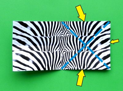 een zebra knutselen met papier