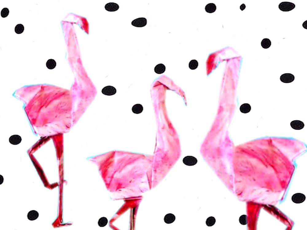 Kaartje met Flamingos Kaartje met Flamingos