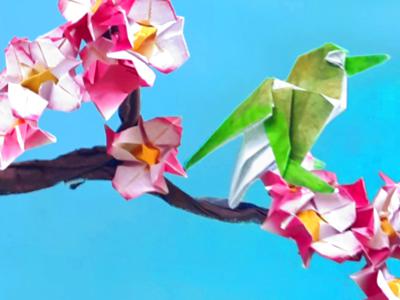 Origami Japanese White-Eye Bird Origami Japanese White-Eye Bird