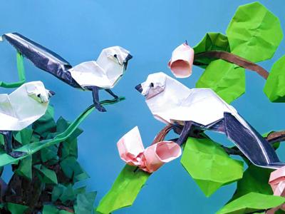 Origami Long Tailed Tit Birds Origami Long Tailed Tit Birds