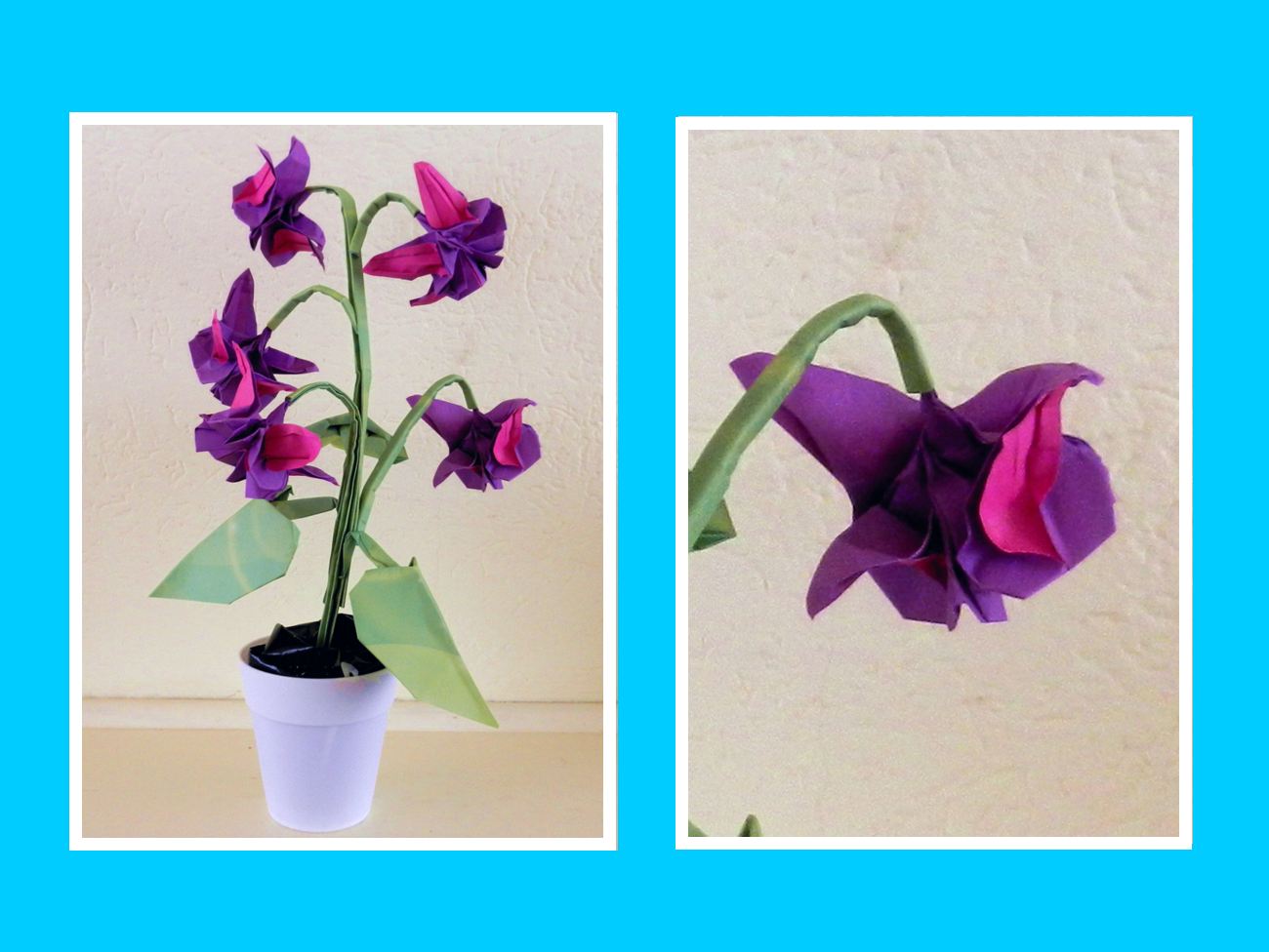 briefkaartje met een papierkunst Fuchsia bloem