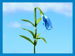 Card with a cute origami bluebell flower