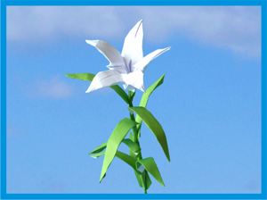 Card with a large origami lily