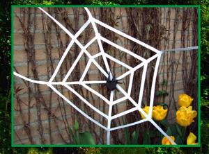 Card with a large origami spider