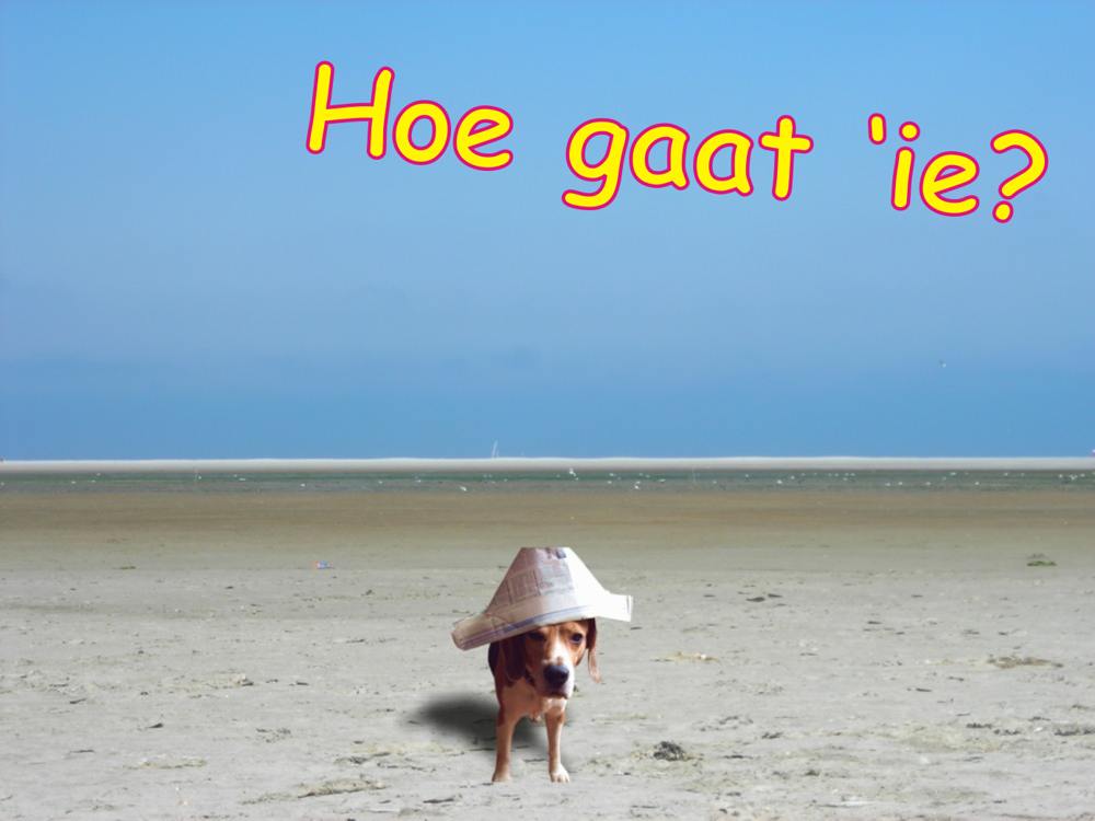 gratis kaartje van een hond met een hoedje van papier op zijn kop