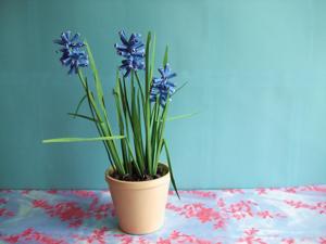 Card with an origami grape hyacinth