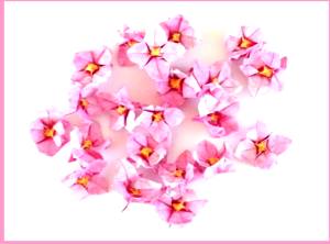 Bloemenkaartje met roze bloemetjes Bloemenkaartje met roze bloemetjes