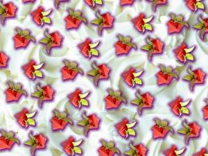 Origami Strawberries texture