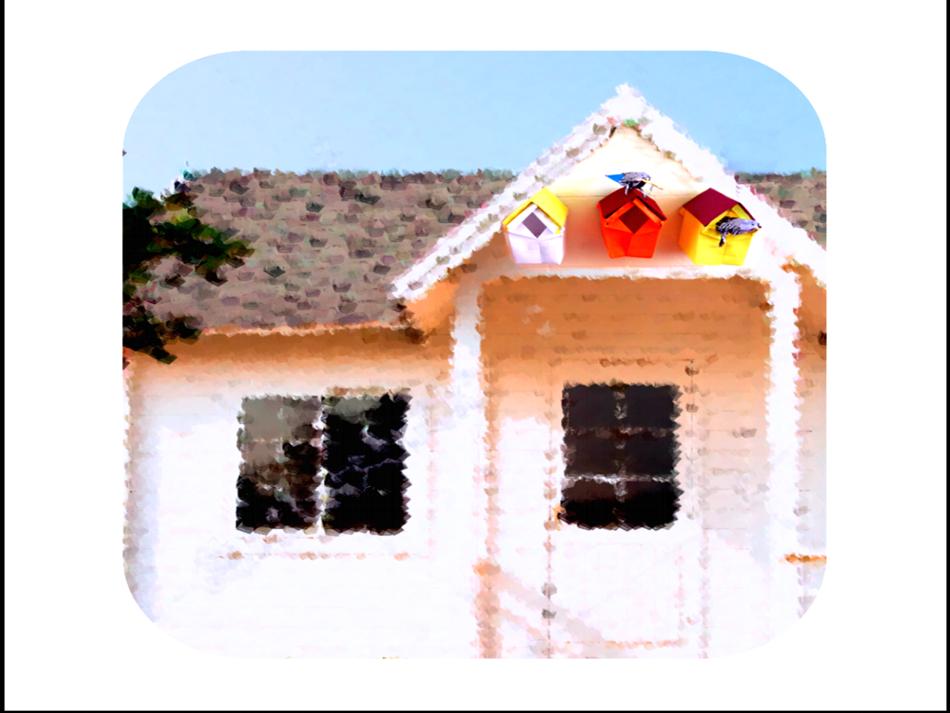 Birdhouses above the front door