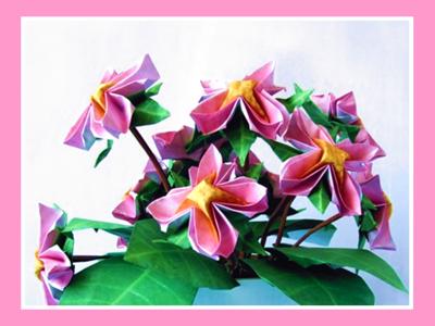 Origami bloemen