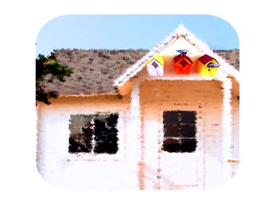 Birdhouses above the front door