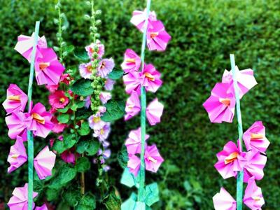 Stokrozen in de achtertuin