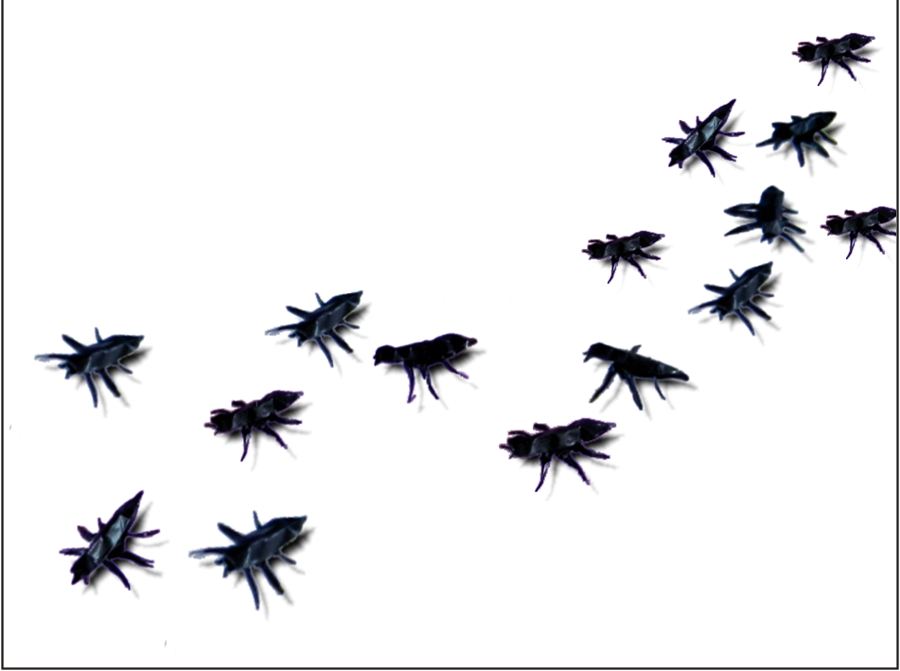 Origami Ants