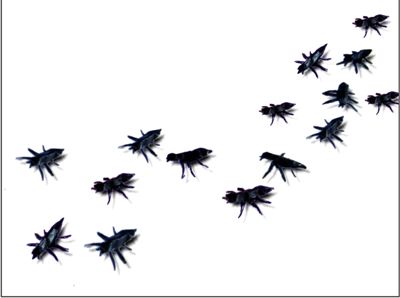 Origami ants