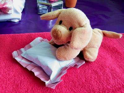 Lief puppy Lief puppy
