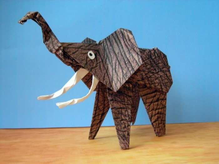gratis kaartje van een olifant gratis kaartje van een olifant