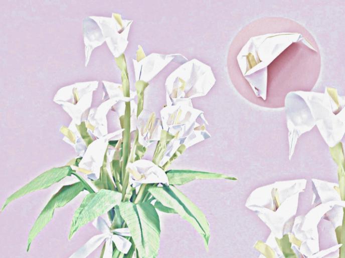 Briefkaartje Calla Lelies