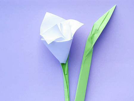 Cute Origami flower