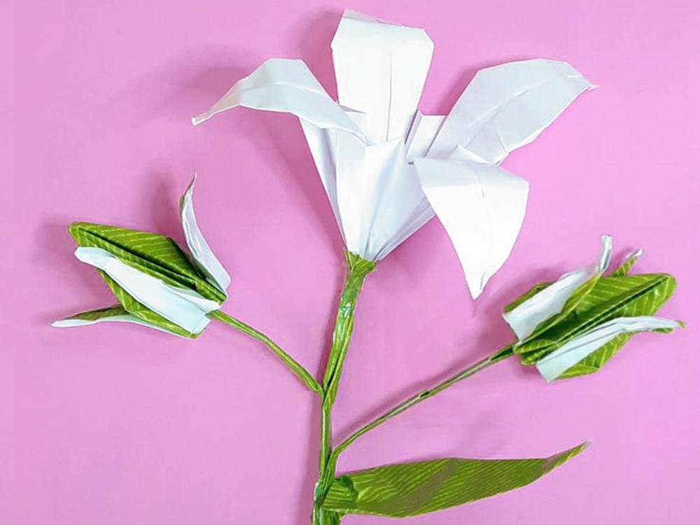 Origami Lily
