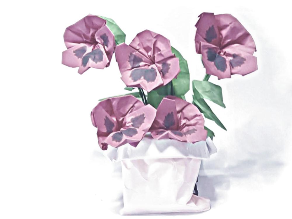 Briefkaartje met Viooltjes bloemen