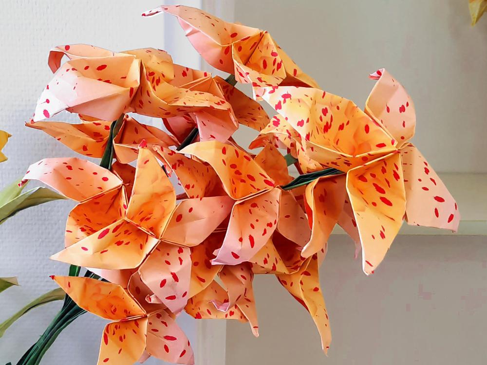 Origami Shooting Star Flowers